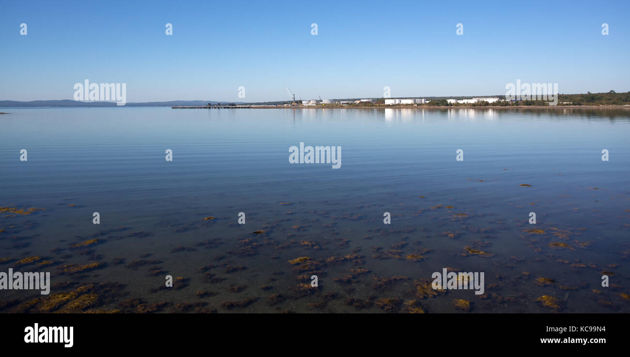 Wide view of the commercial pier at Searsport, Maine in the summertime with seaweed floating on