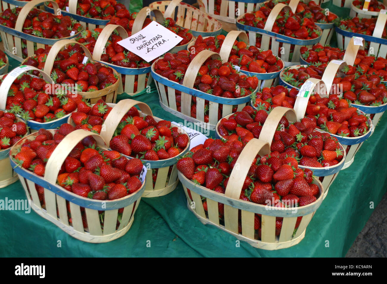Korb mit frischen roten Erdbeeren - Basket of fresh red strawberries Stock Photo