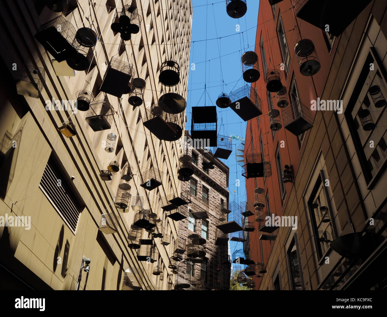 Bird cages in an alley in Sydney, Australia Stock Photo Alamy