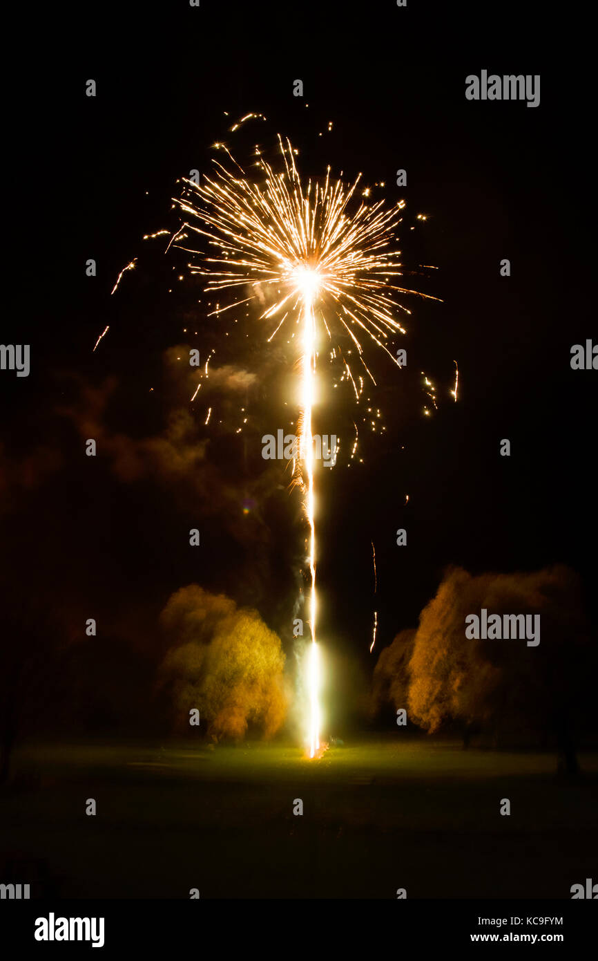 Fireworks in front of Woodland Stock Photo Alamy