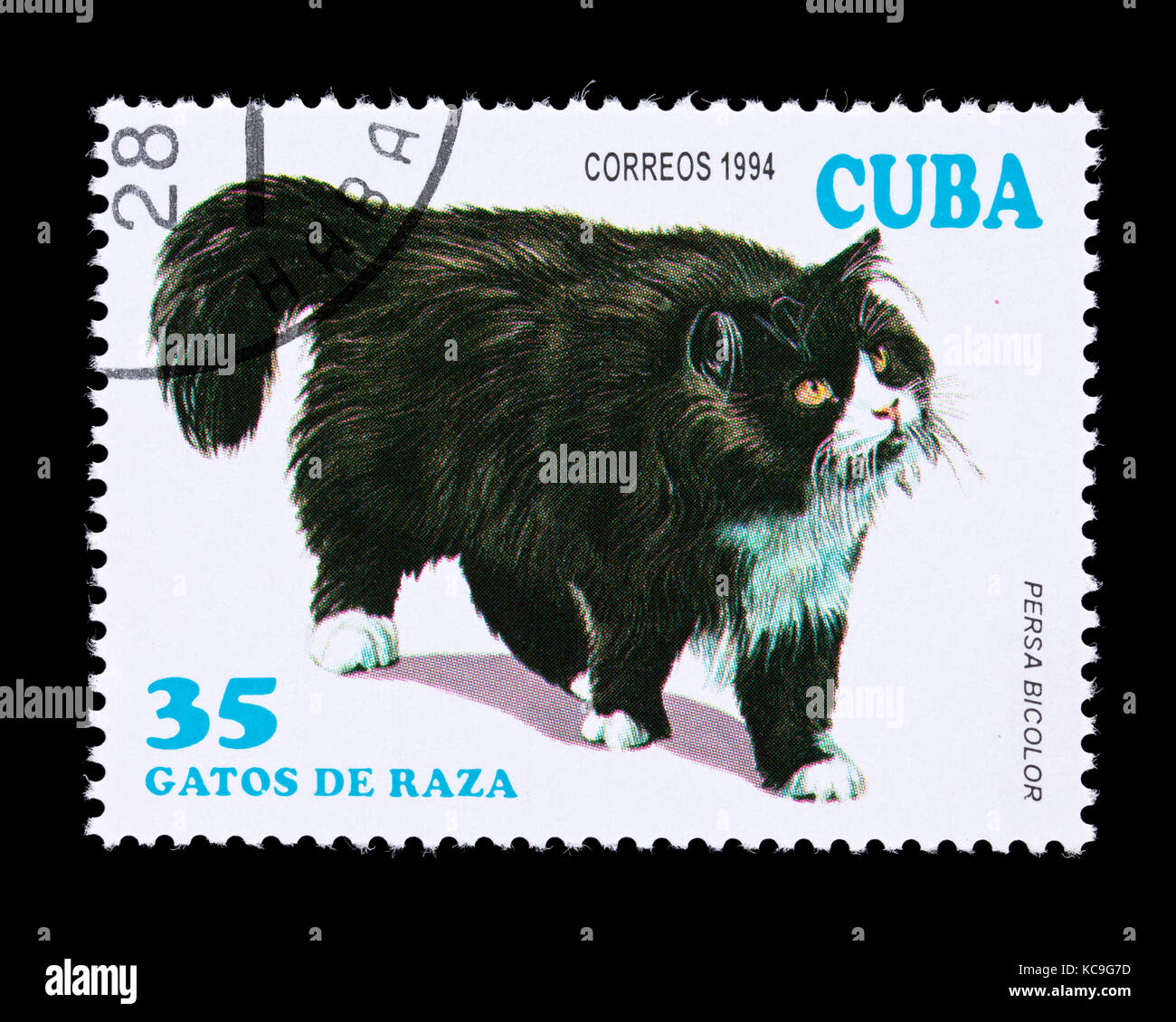 Postage stamp from Cuba depicting a bicolor Persian breed of domesticated cat. Stock Photo