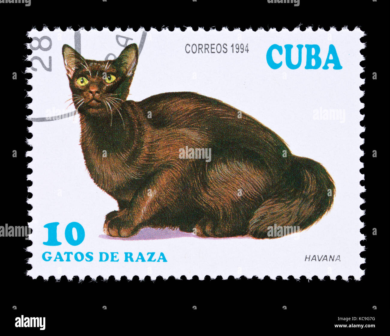 Postage stamp from Cuba depicting a Havana breed of domesticated cat. Stock Photo