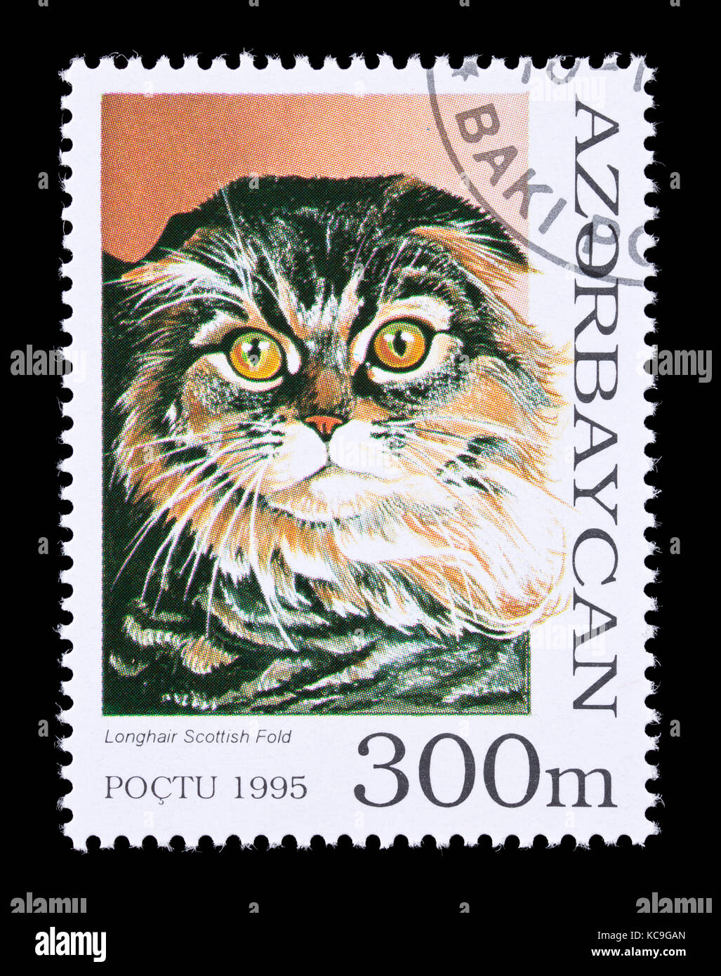 Postage stamp from Azerbaijan depicting a longhair Scottish fold breed of house cat. Stock Photo