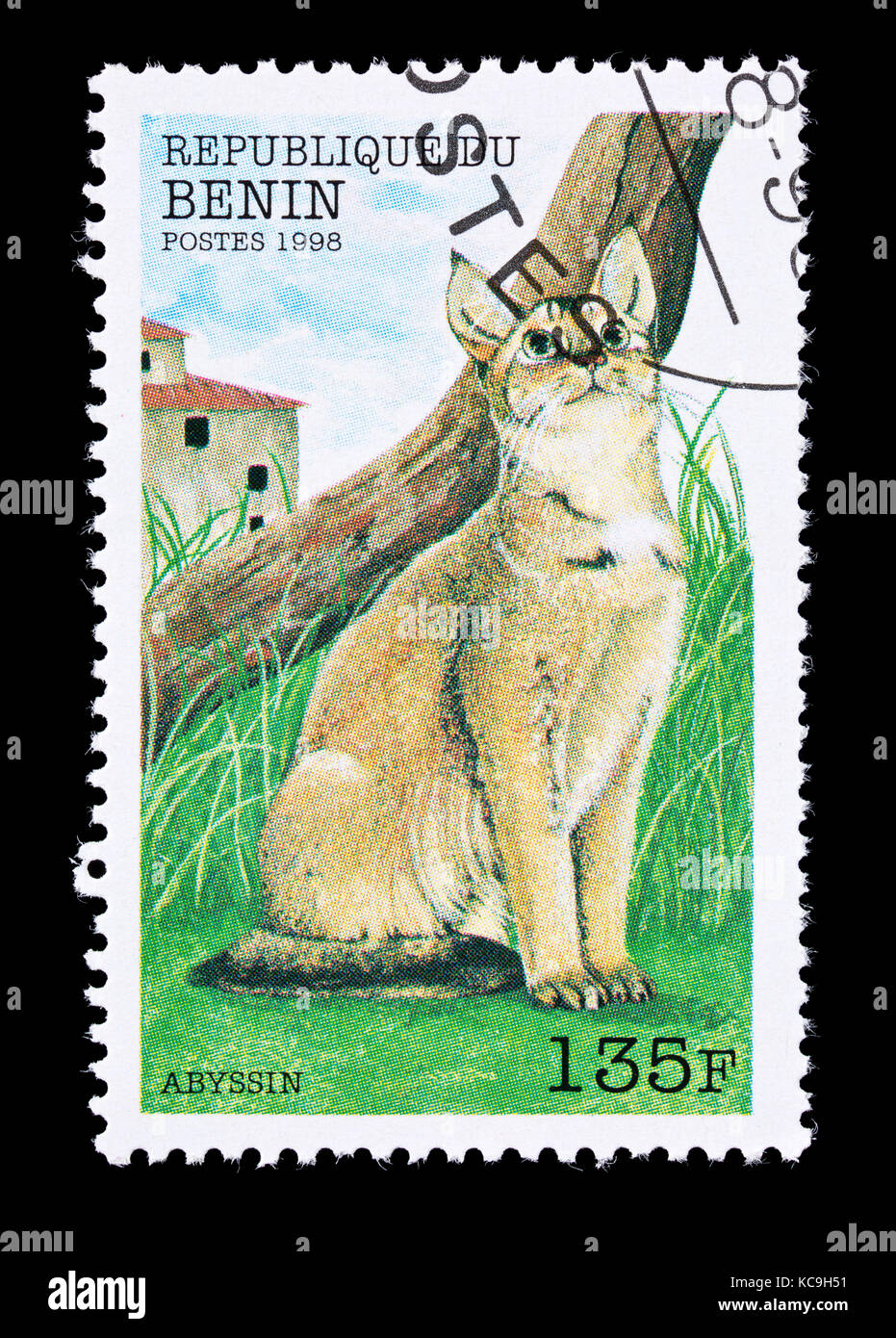 Postage stamp from Benin depicting an Abyssinian breed of house cat. Stock Photo