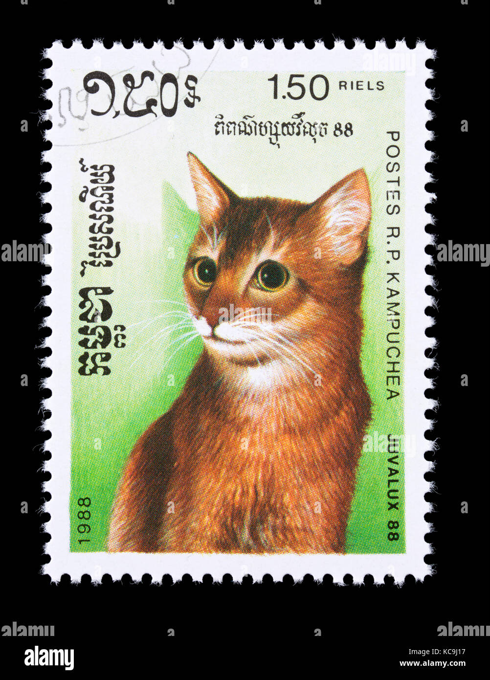 Postage stamp from Cambodia (Kampuchea) depicting a housecat. Stock Photo