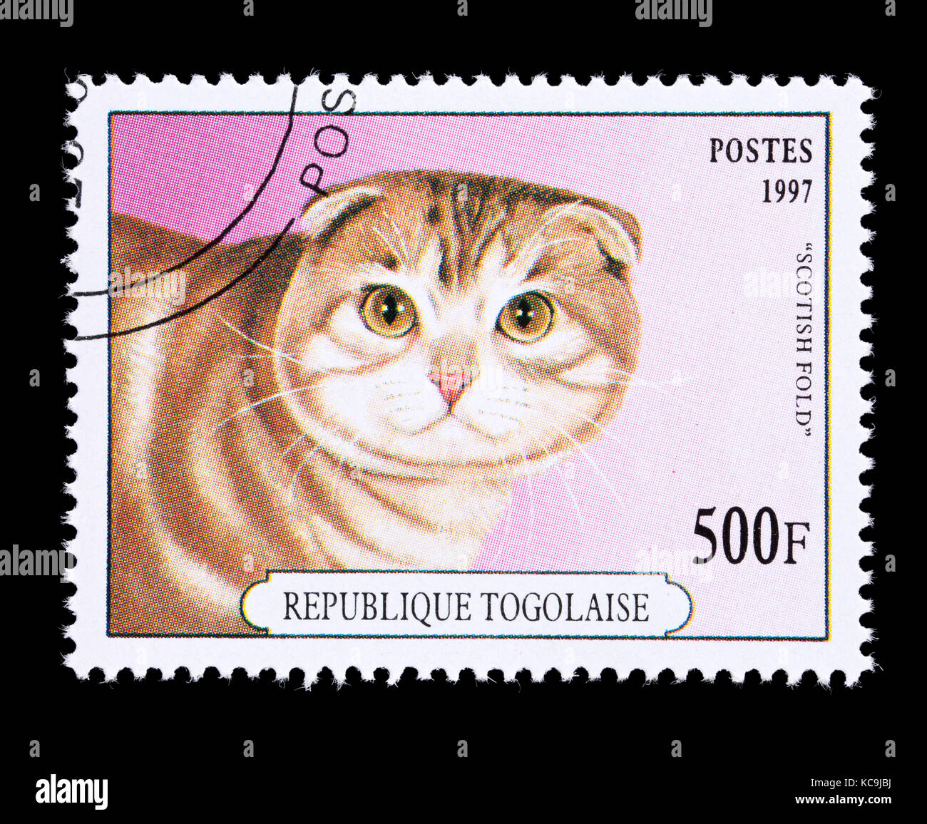 Postage stamp from Togo depicting a Scottish fold breed of housecat. Stock Photo