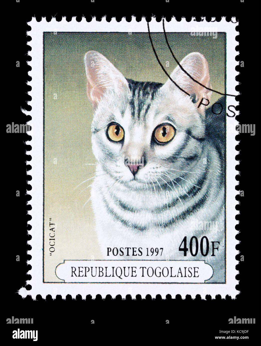 Postage stamp from Togo depicting a Ocicat breed of housecat. Stock Photo