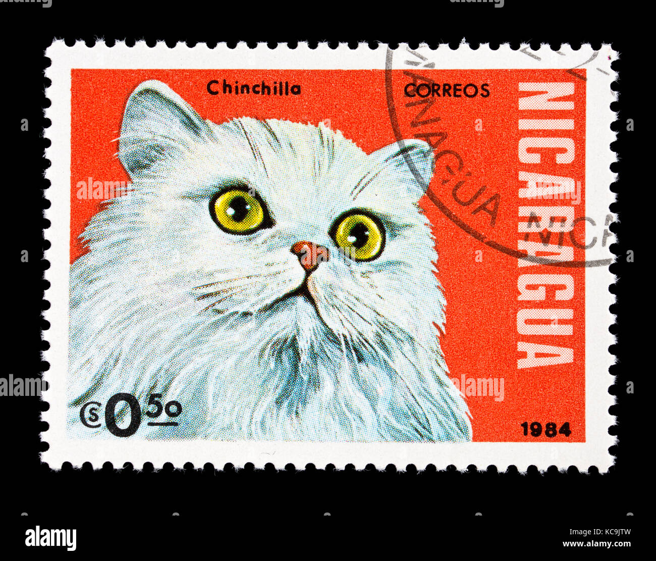 Postage stamp from Nicaragua depicting a chinchilla breed of house cat. Stock Photo
