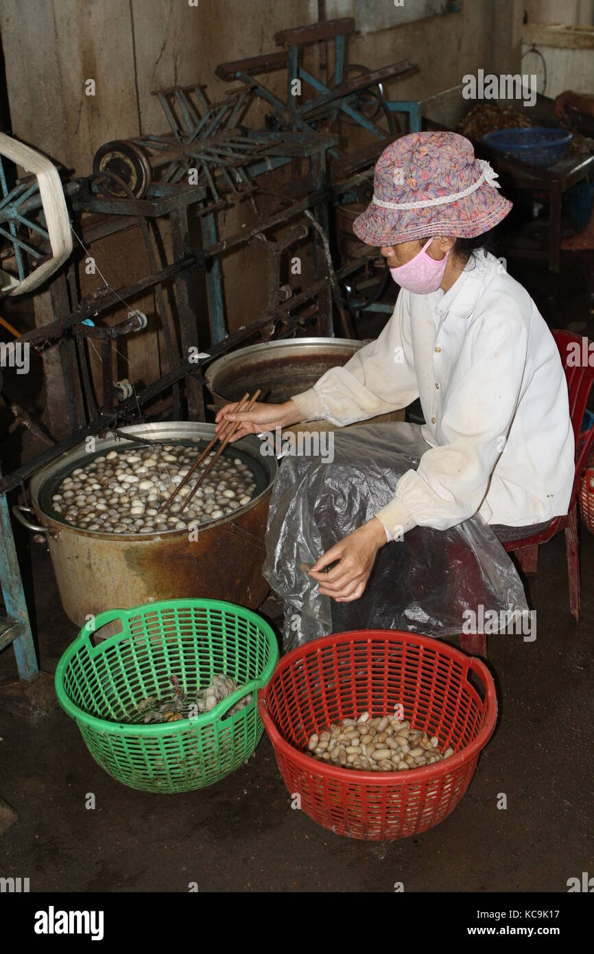 Seidenraupen Verarbeitung - Silk processing in factory Vietnam Stock Photo