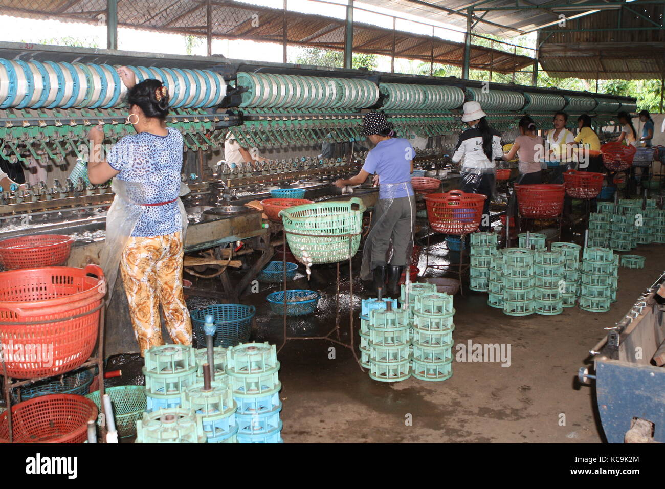 Seidenraupen Verarbeitung - Silk processing in factory Vietnam Stock Photo