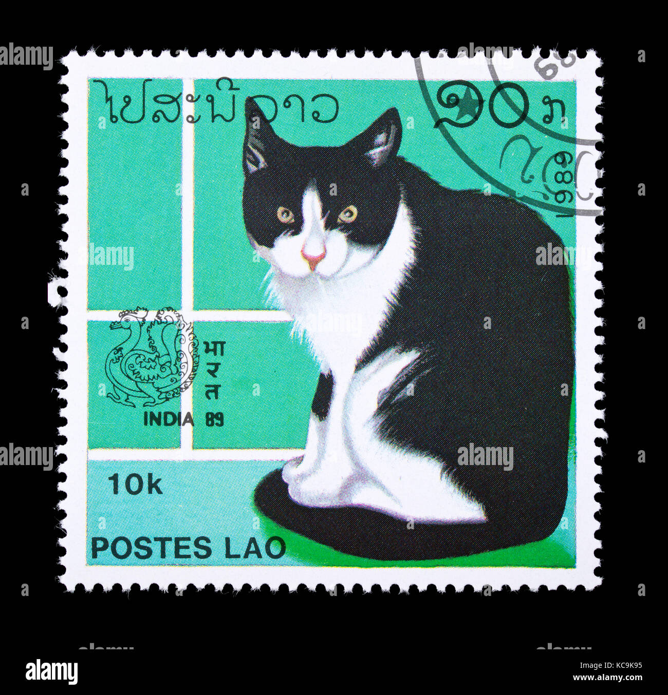 Postage stamp from Laos depicting a house cat. Stock Photo