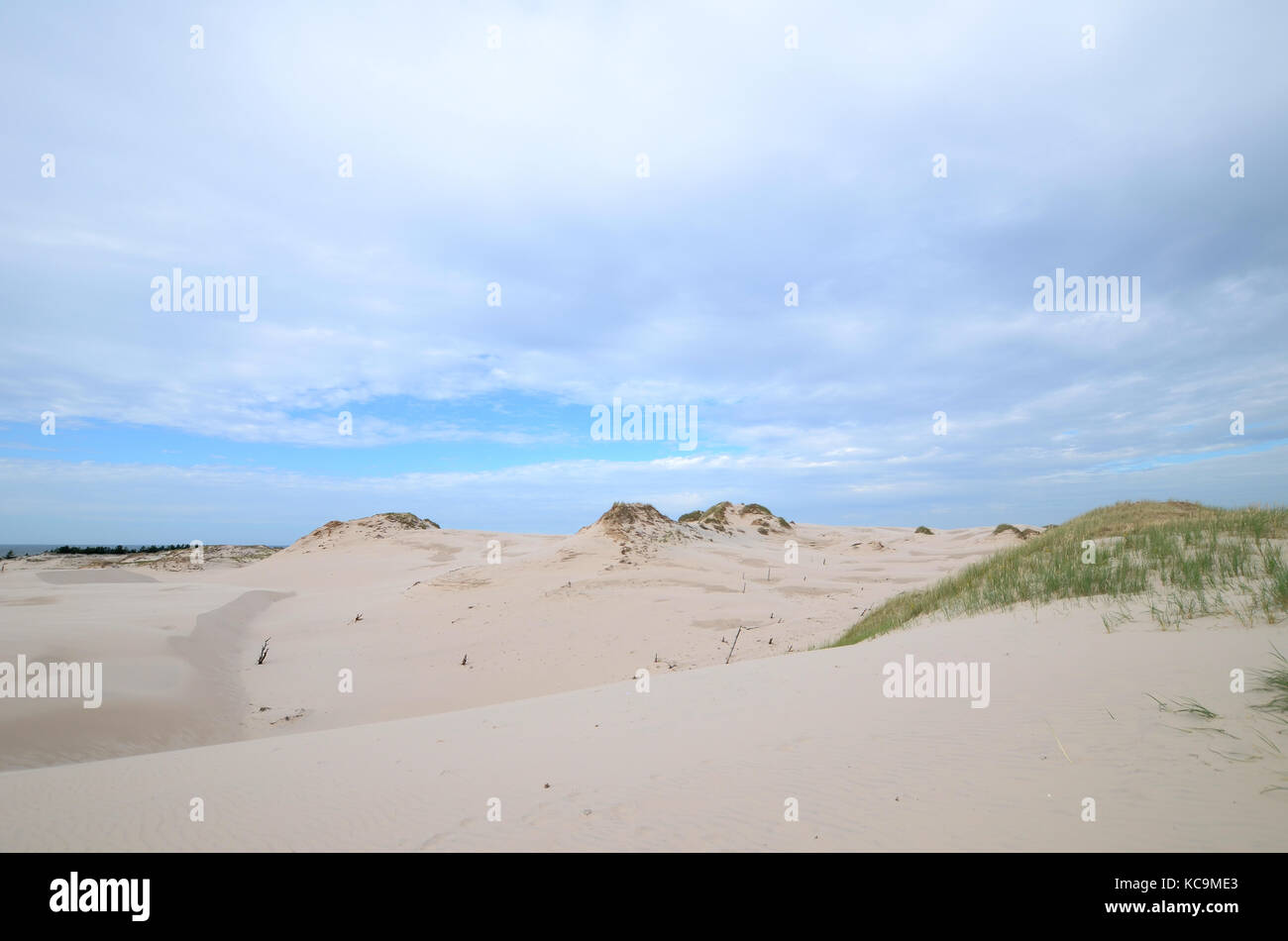 Sand dunes in the Slowinski National Park in Poland Stock Photo - Alamy