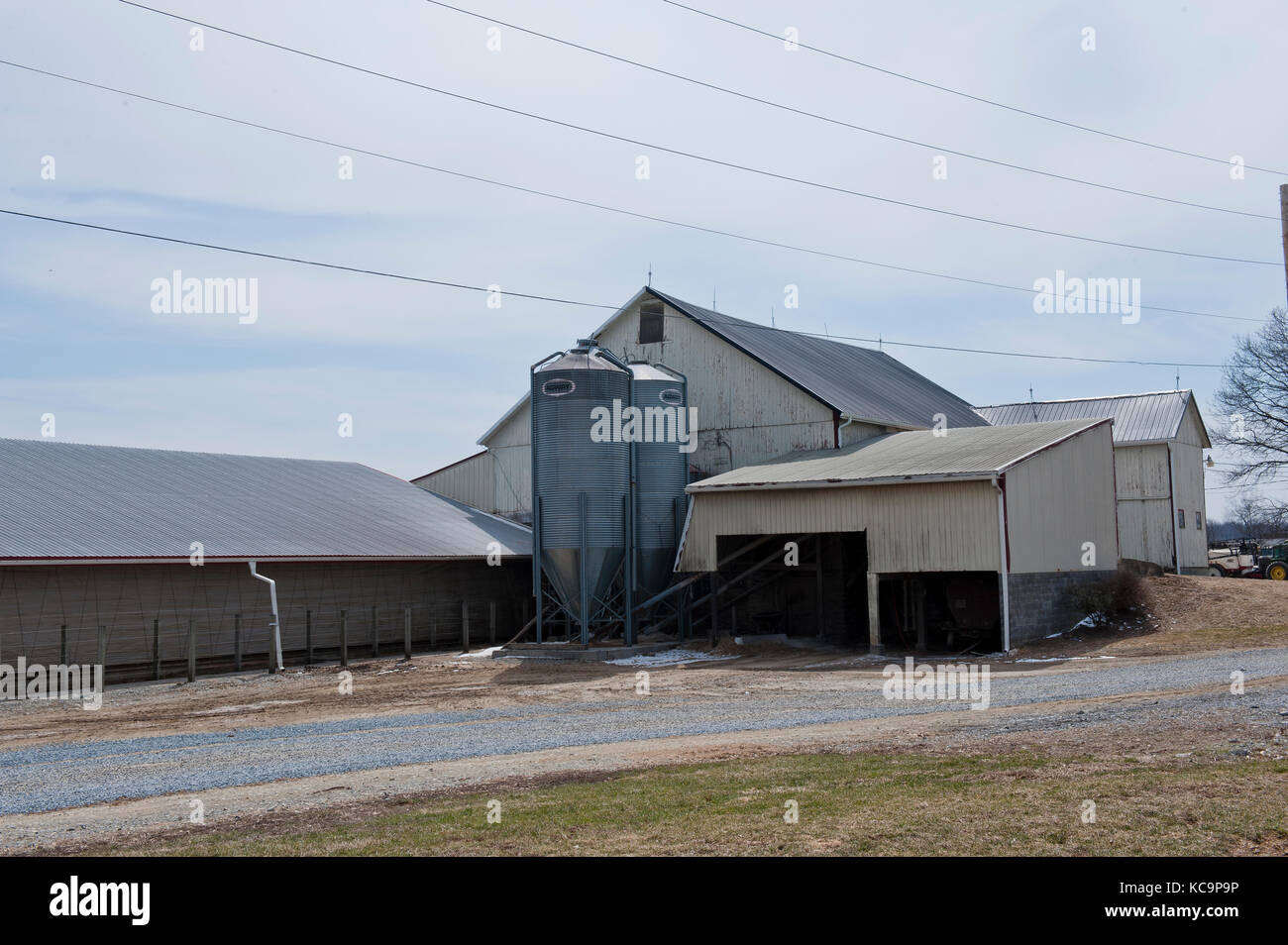Milking Parlor And Freestall Barn Buildings At Dairy Farm Stock