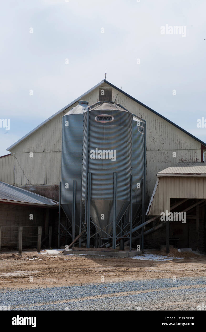 GRAIN STORAGE BIN AT DAIRY FARM, PENNSYLVANIA Stock Photo Alamy