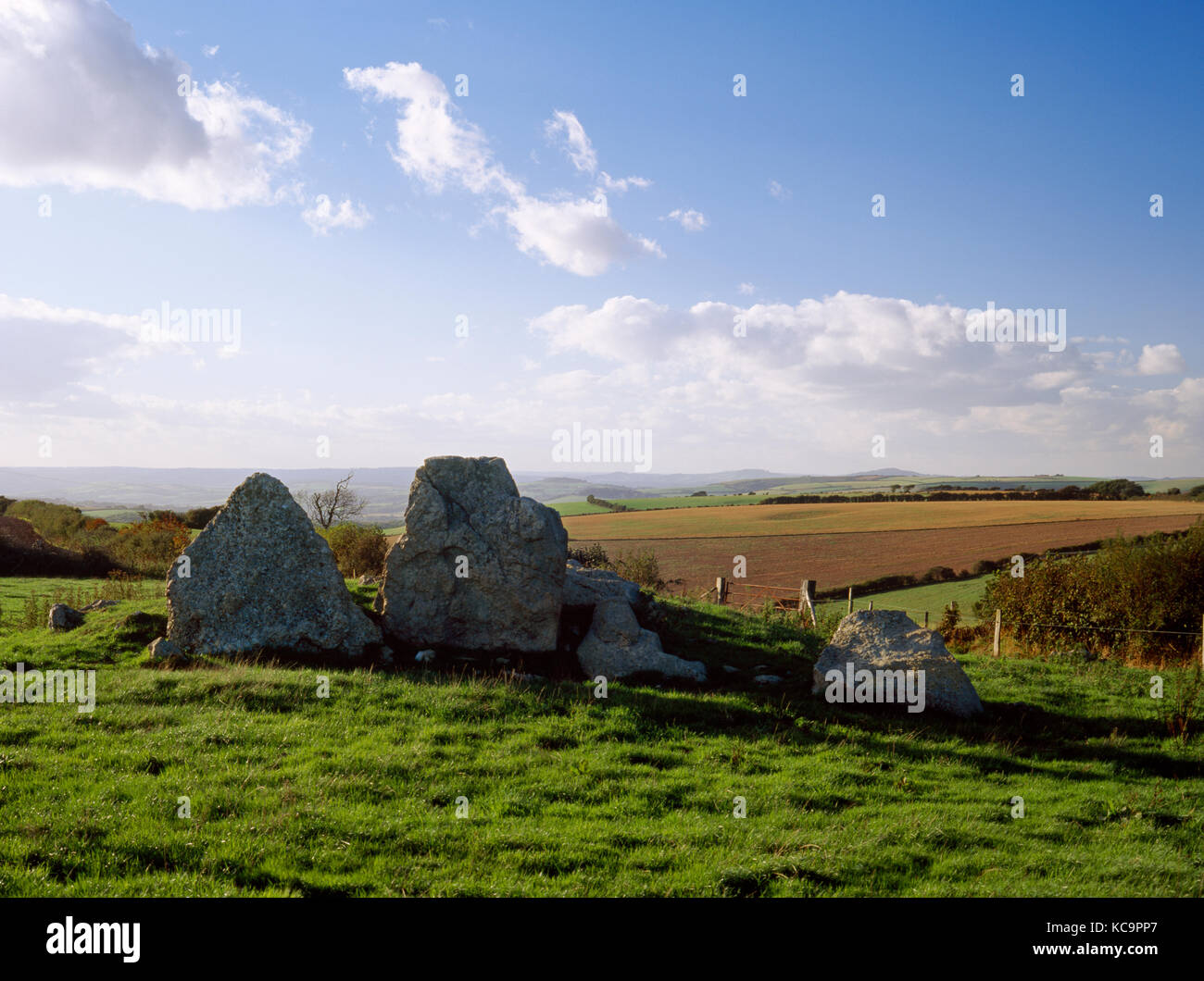 Grey Mare and Her Colts Neolithic Long Barrow, Kingston Russel, Dorset, England. Looking west at the facade, chamber stones and remains of cairn. Stock Photo