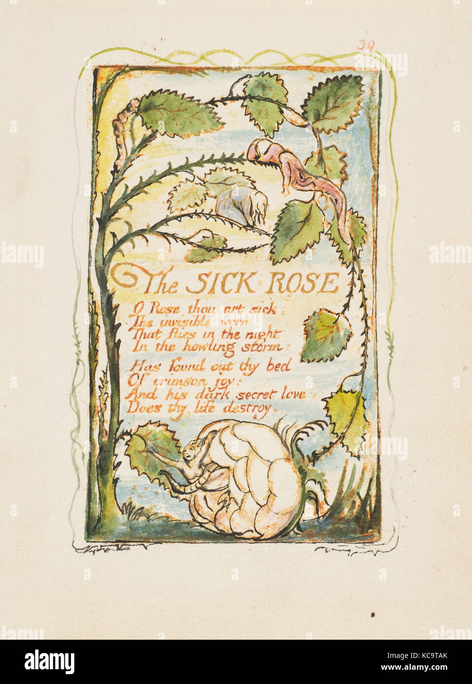 Songs of Innocence and of Experience: The Sick Rose, William Blake, ca. 1825 Stock Photo