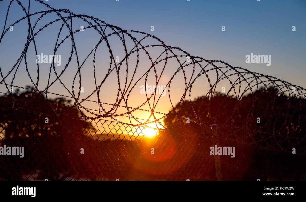Fence with a barbed wire under a blue sky Stock Photo - Alamy