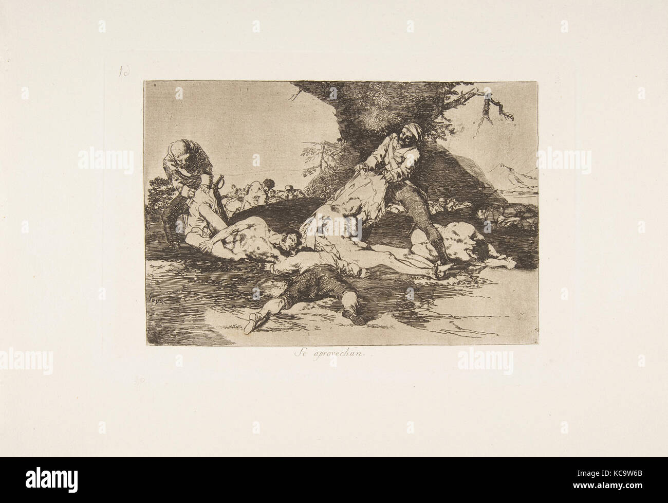 Plate 16 from 'The Disasters of War' (Los Desastres de La Guerra):' They make use of them.' (Se aprovechan.), Goya, 1810 Stock Photo