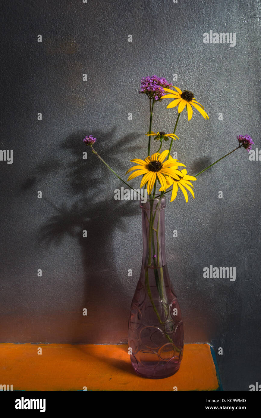 A bunch of flowers - Black-Eyed Susans and Verbena Bonariensis in a vase against a silver wall, on an orange shelf with shadows of the flowers behind. Stock Photo