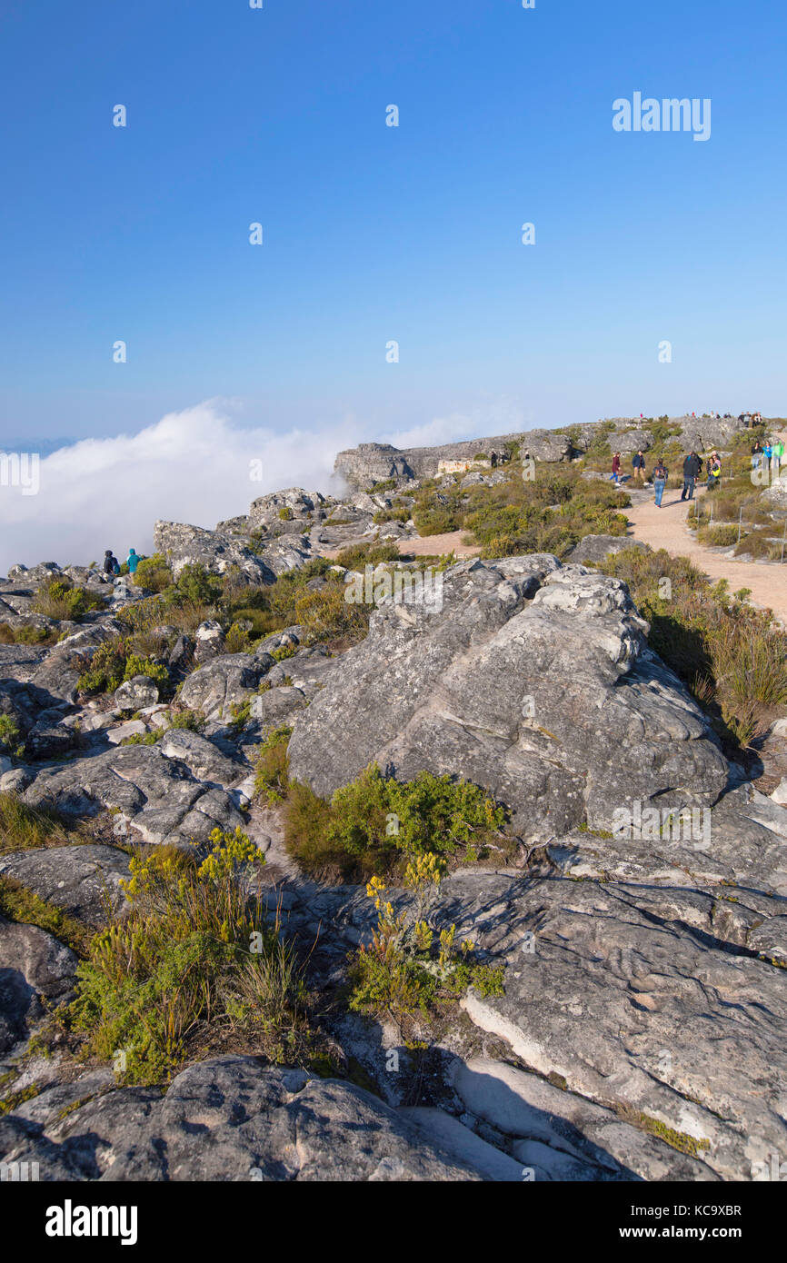 Person mountain summit african hi-res stock photography and images - Alamy