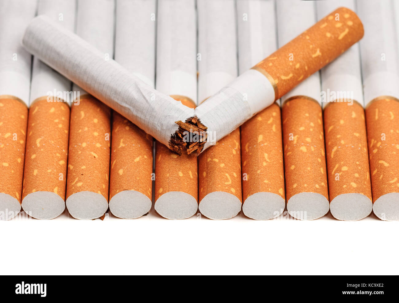 euro cigarettes price in australia Cheap cigarettes online | Euro Blue euro cigarettes price in australia Cheap cigarettes online | Euro Blue