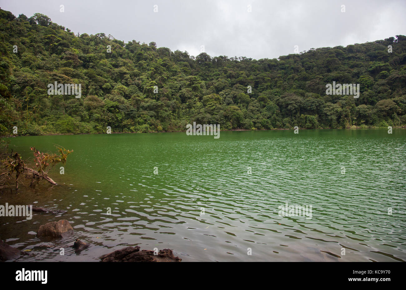 Cerro Chato Volcano hike up to a dormant emerald green crater lake swimming hole in Costa Rica Stock Photo