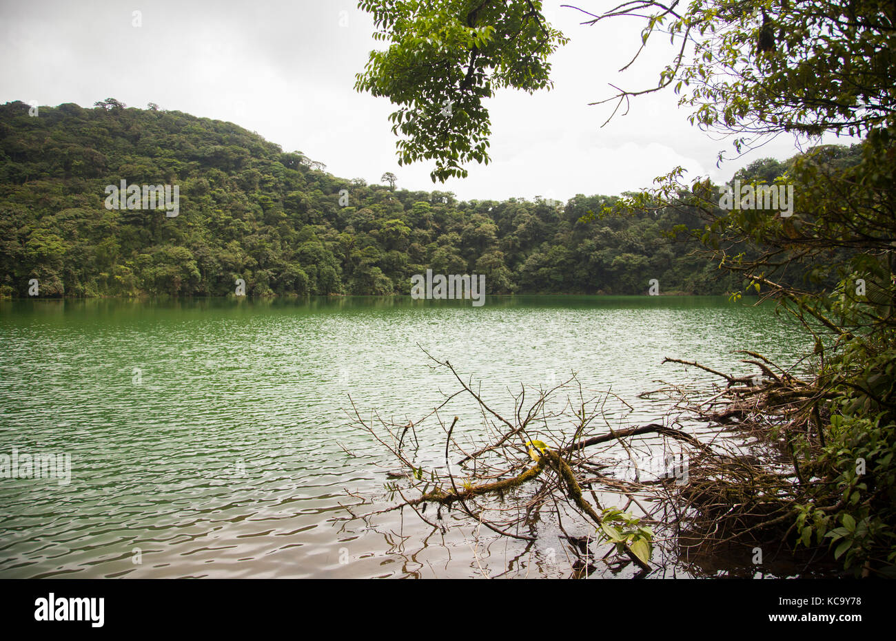 Cerro Chato Volcano hike up to a dormant emerald green crater lake swimming hole in Costa Rica Stock Photo