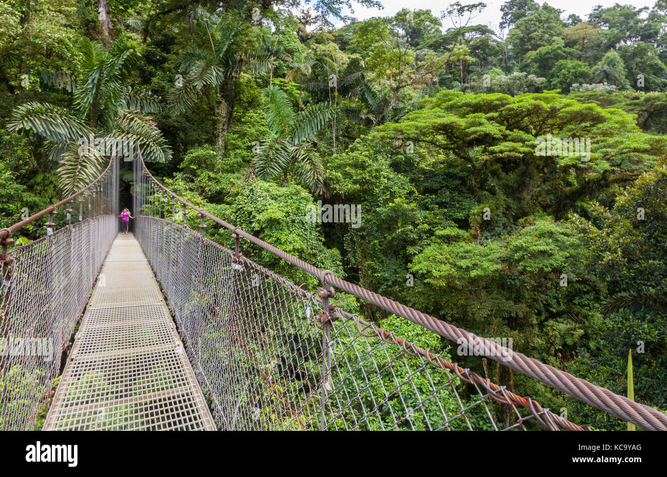 Mistico Hanging bridges park in Arenal Costa Rica Stock Photo - Alamy