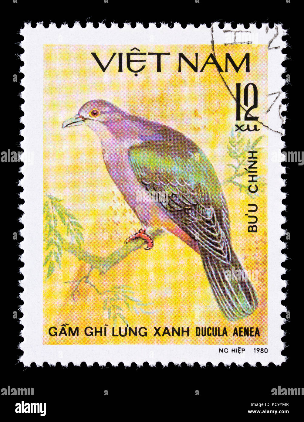 Postage stamp from Vietnam depicting a green imperial pigeon (Ducula aenea) Stock Photo