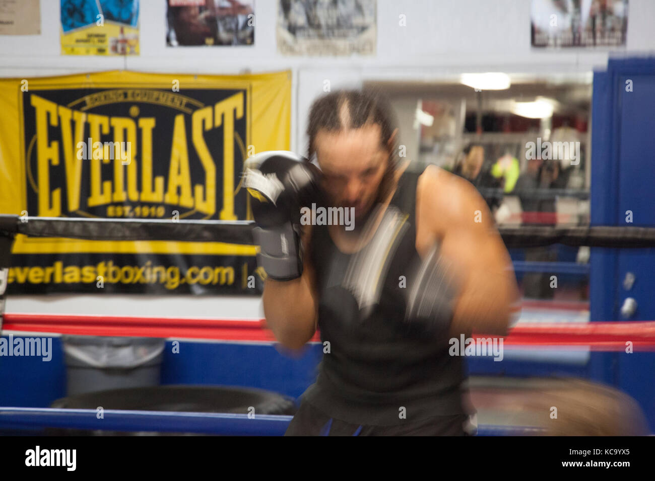 Boxer in boxing ring in Las Vegas gym practicing Stock Photo Alamy