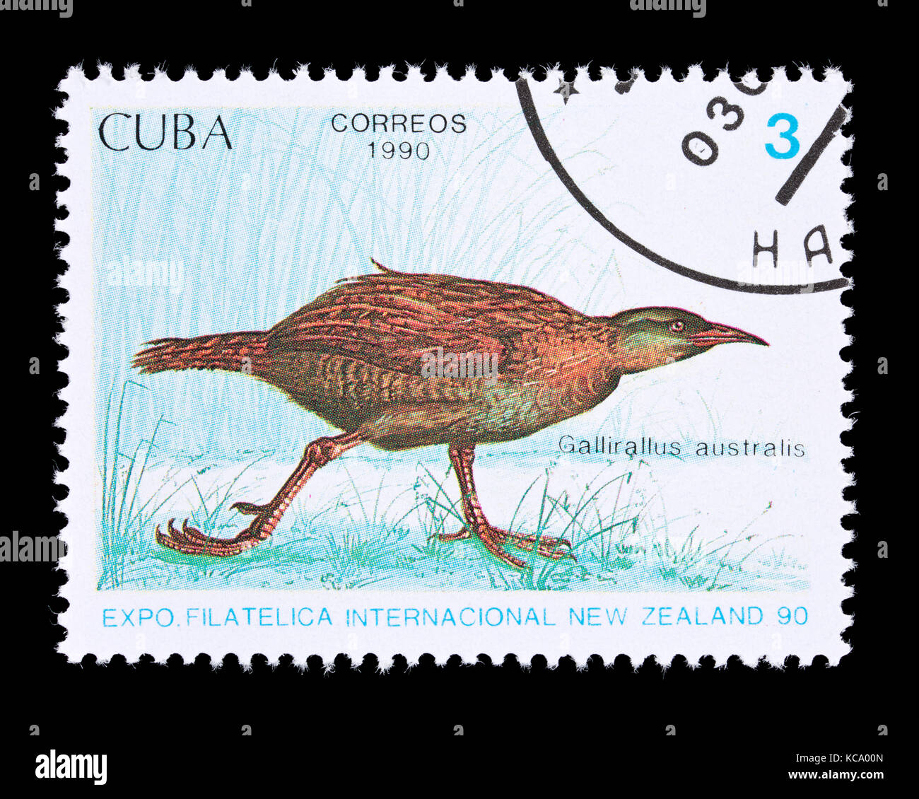 Postage stamp from Cuba depicting  weka (Gallirallus australis) Stock Photo