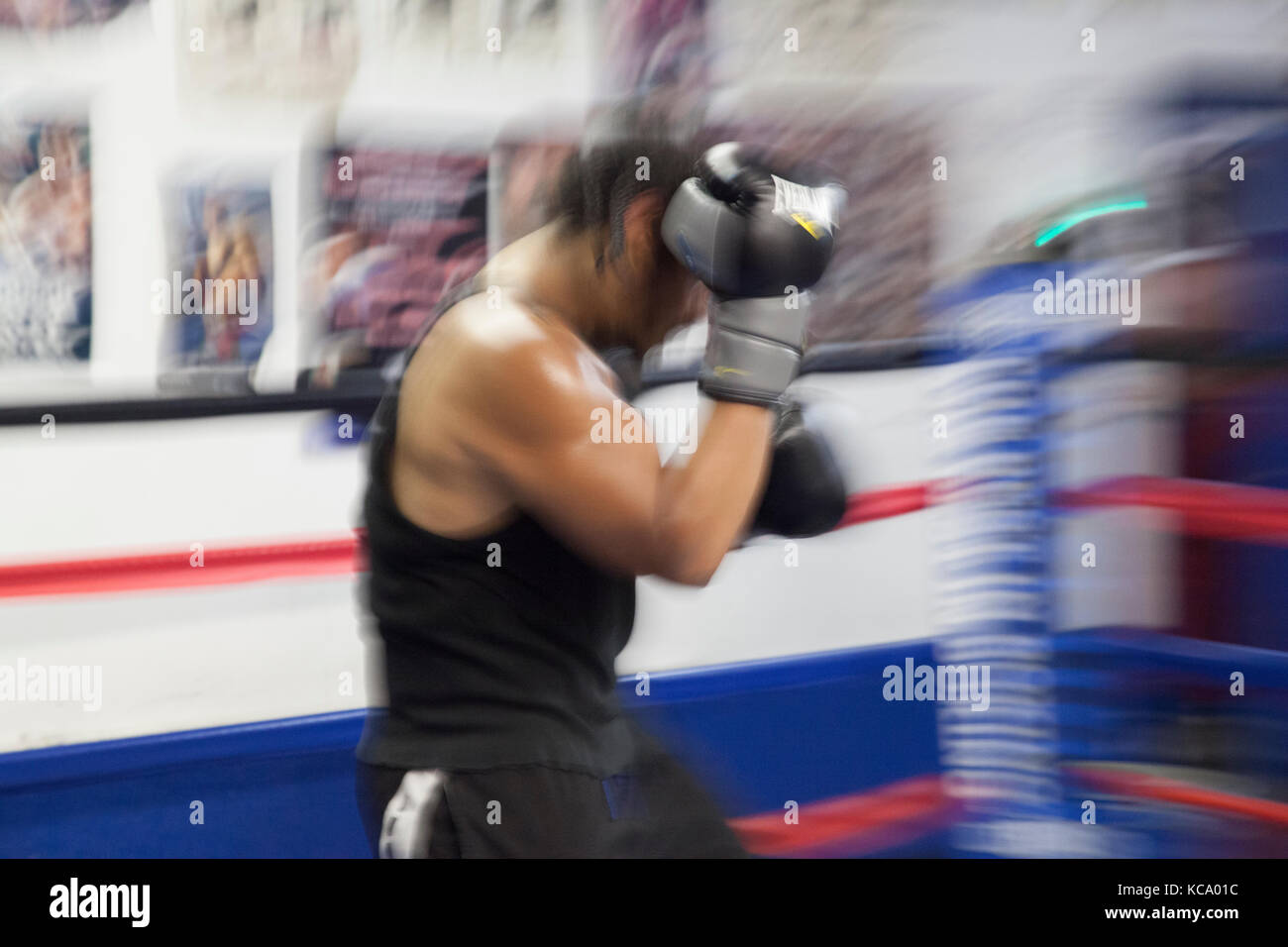 Boxer in boxing ring in Las Vegas gym practicing Stock Photo Alamy