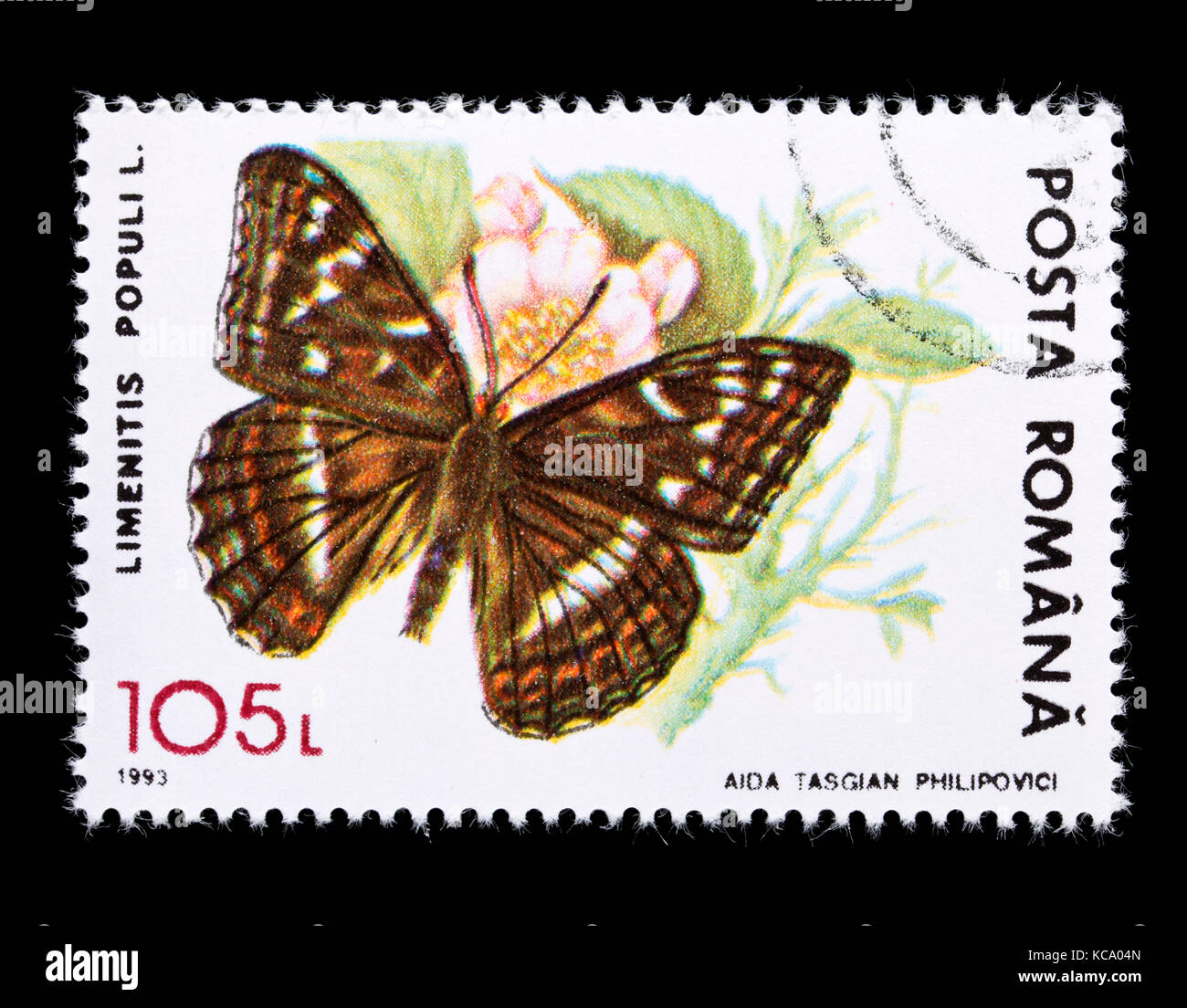 Postage stamp from Romania depicting  poplar admiral (Limenitis populi) Stock Photo