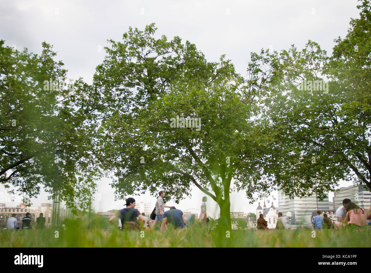 Cologne rhine, people chilling under trees. very low point of view Stock Photo