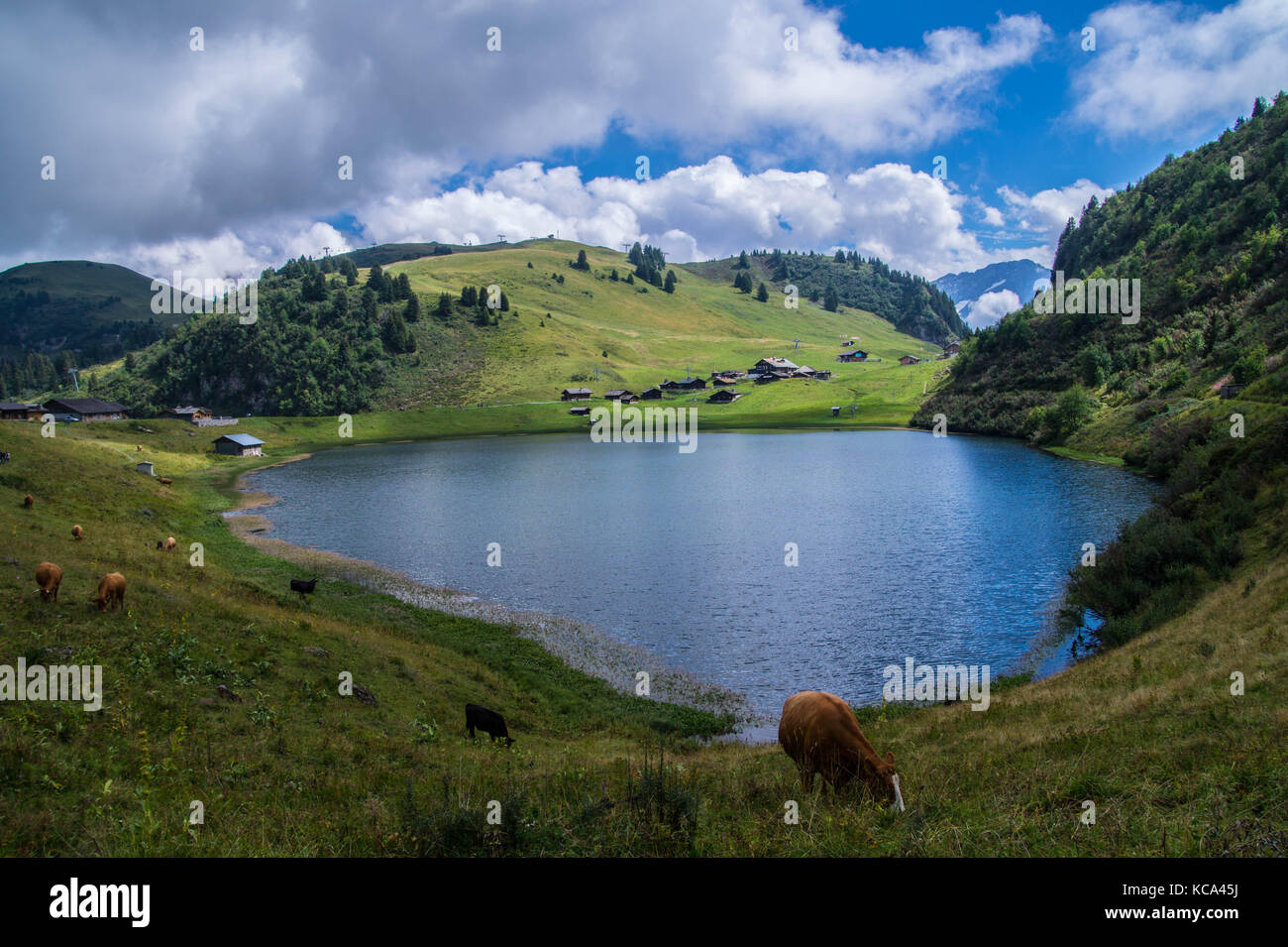 landscape of the Swiss Alps Stock Photo - Alamy