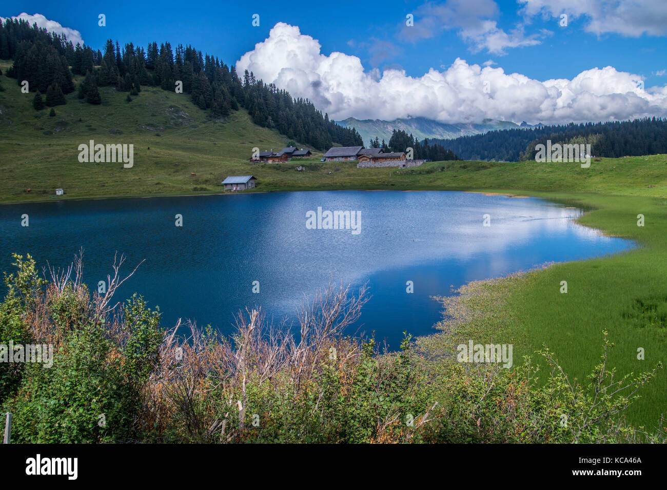landscape of the Swiss Alps Stock Photo - Alamy