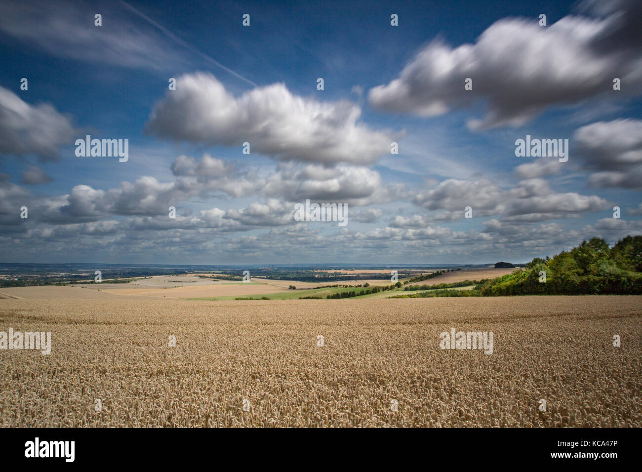 Summer Landscape looking from the Ridgeway in British Countryside at Hackpen Hill, UK Stock