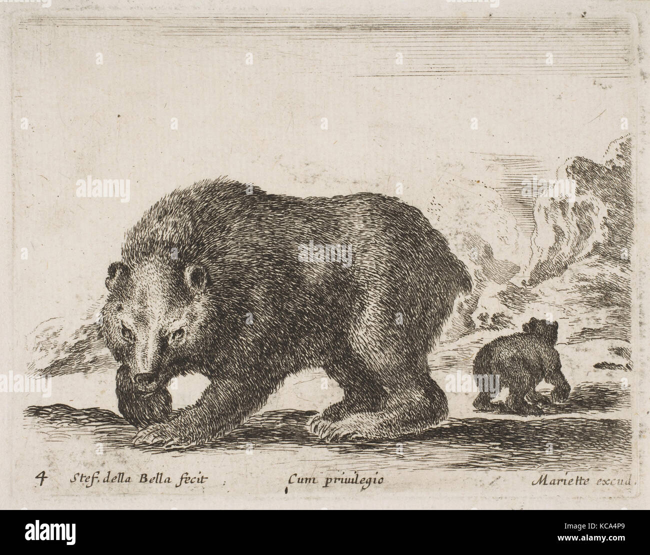 Plate 4: bear, from 'Various animals' (Diversi animali), Stefano della Bella, 1641 Stock Photo