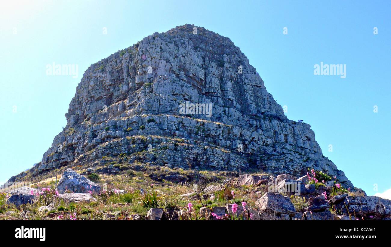 The Peak of Lion's Head, Cape Town Stock Photo