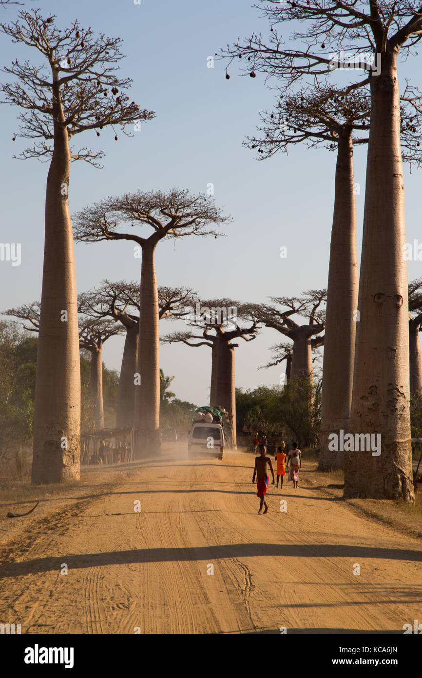 Local viligers walking along dirt road of Baobab avenue, Menabe, Madagascar, 2017 Stock Photo