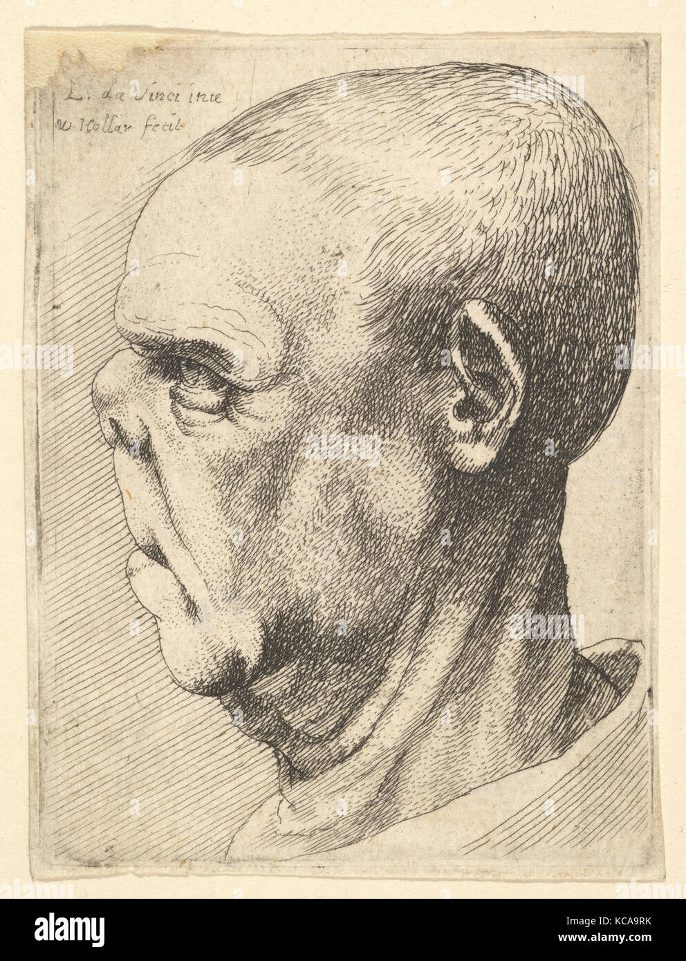 Grotesque old man with flattened nose in profile to left, After Leonardo da Vinci, 1625–77 Stock Photo