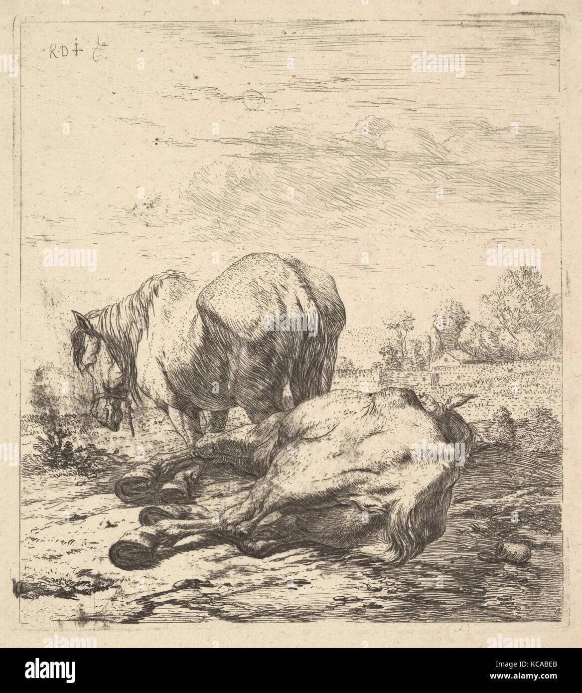 The Two Horses, 17th century, Etching, sheet: 6 3/4 x 6 1/4 in. (17.2 x 15.9 cm), Prints, Karel Dujardin (Dutch, Amsterdam 1622 Stock Photo