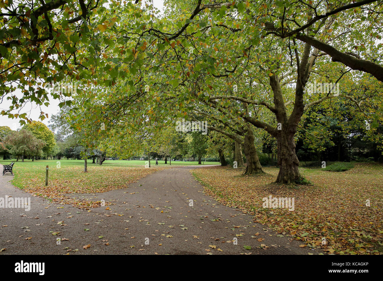 Finsbury Park, London, UK. 3rd Oct, 2017. Autumnal colours in Finsbury Park, London. Credit