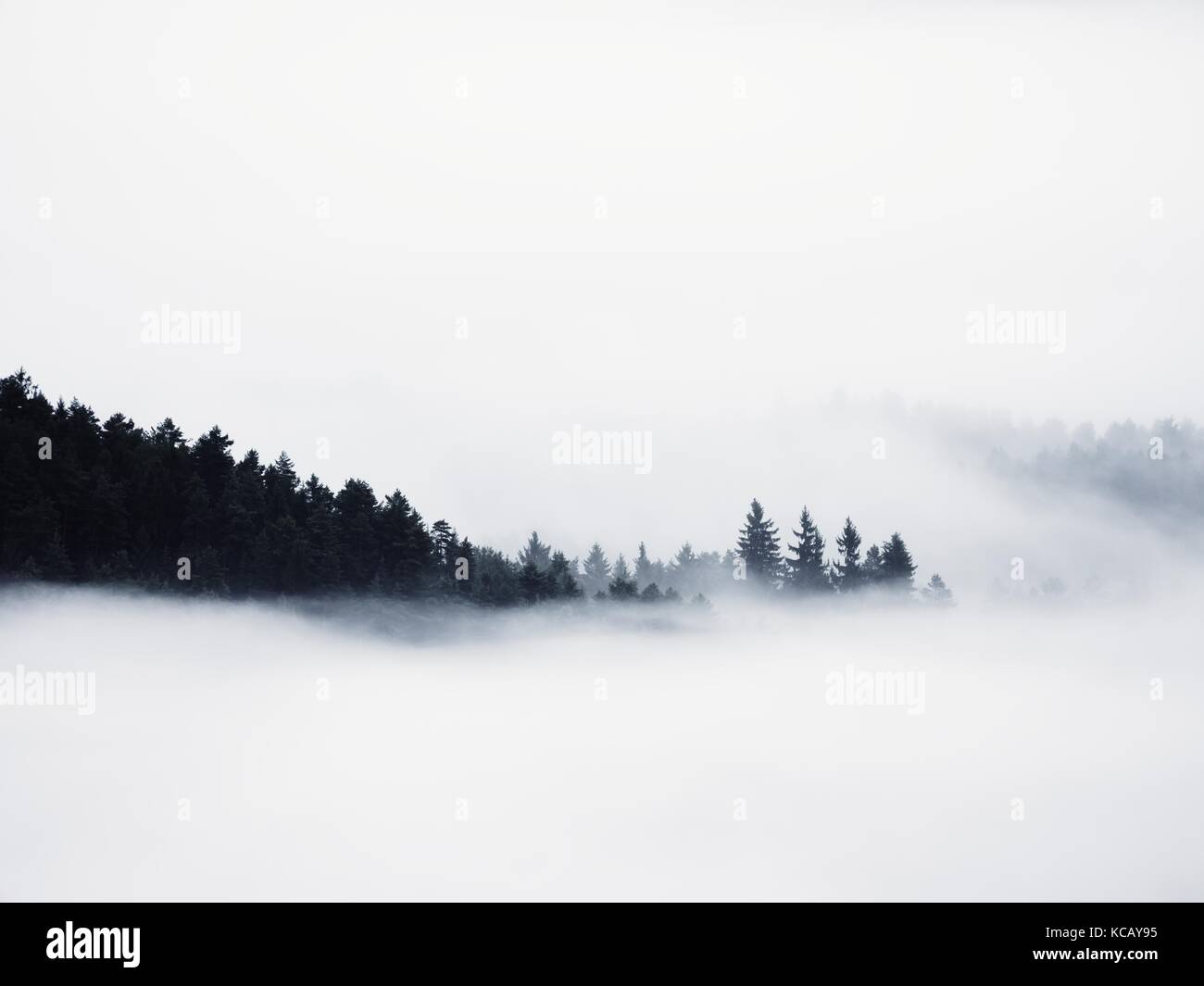Heavy Mist Magnificent heavy mist in landscape. Autumn creamy fog in countryside ...