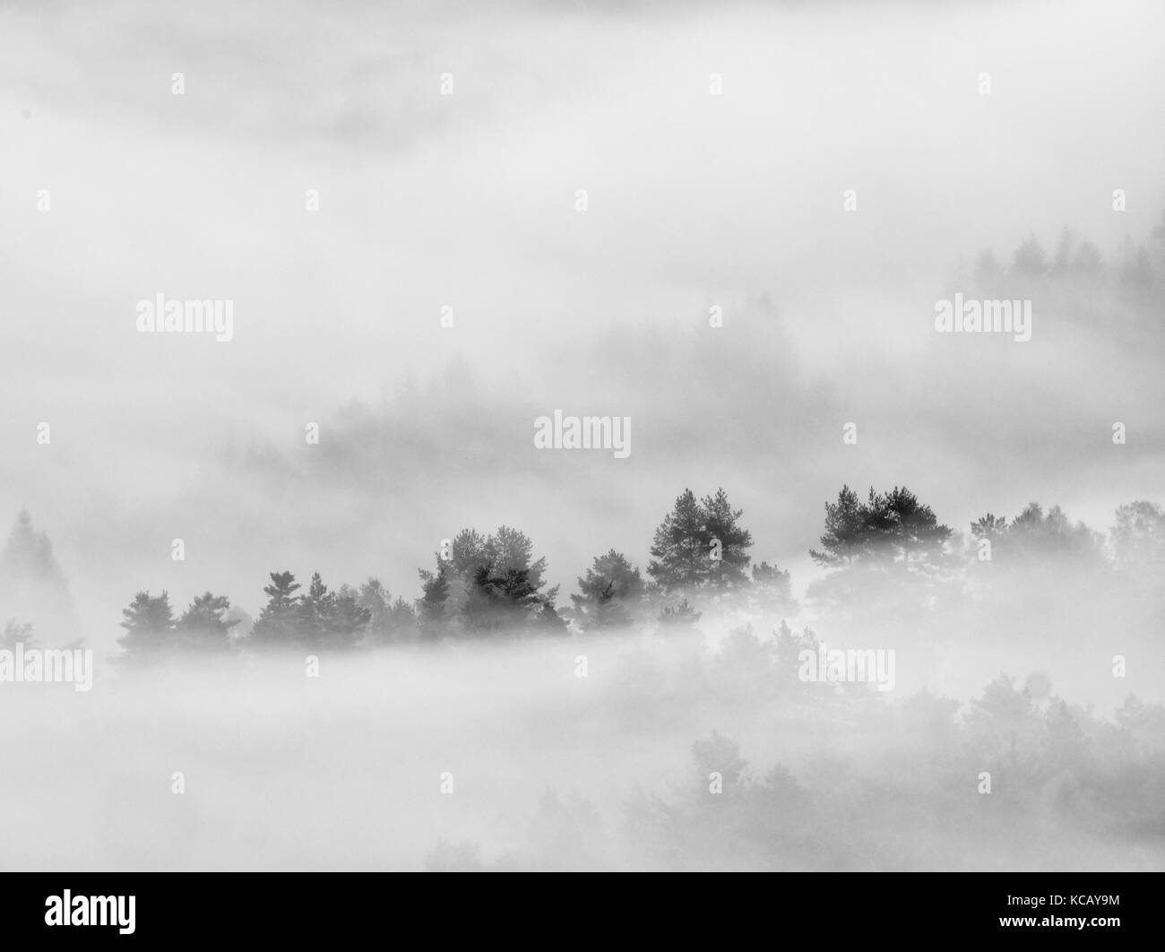 Heavy mist in landscape. Magnificent  autumn creamy fog in countryside. Hill increased from fog, the fog. Black and white photo. Stock Photo