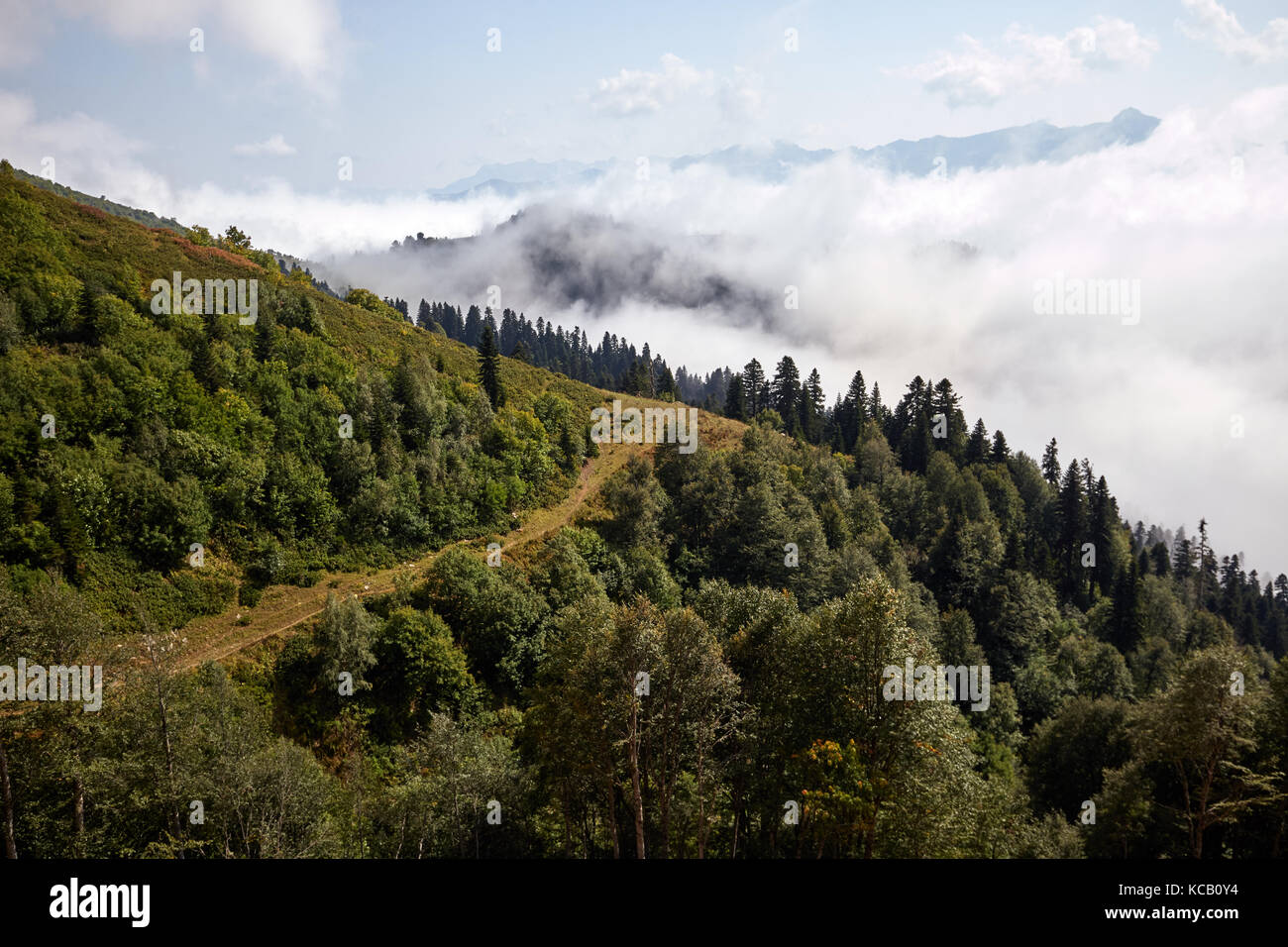 Beautiful clouds and fog among mountain forest landscape Stock Photo ...