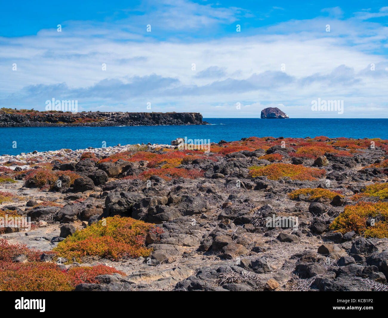 Cliffs and outcrops on South Plaza - Galapagos, Ecuador Stock Photo
