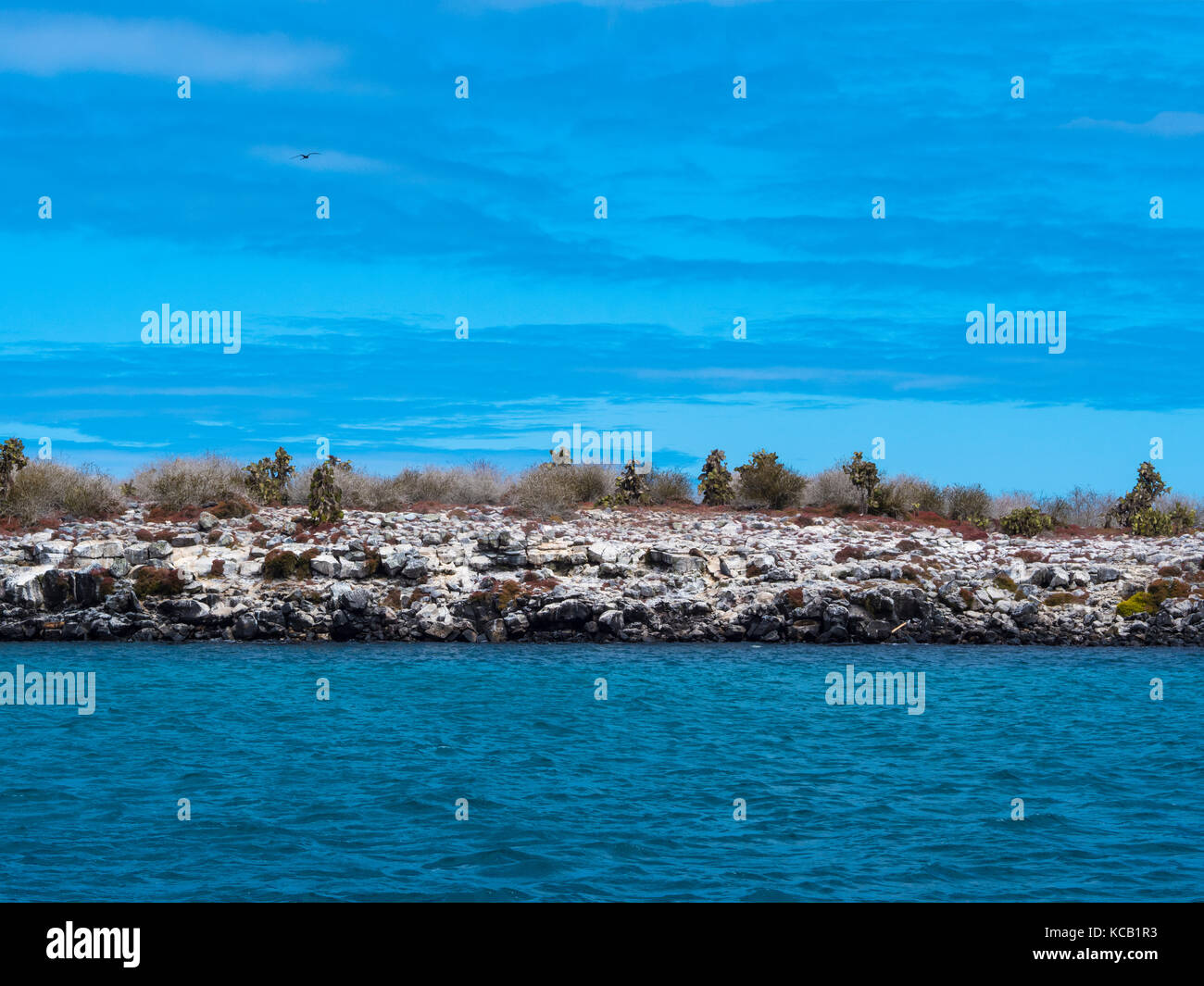 Cliffs and outcrops on South Plaza - Galapagos, Ecuador Stock Photo