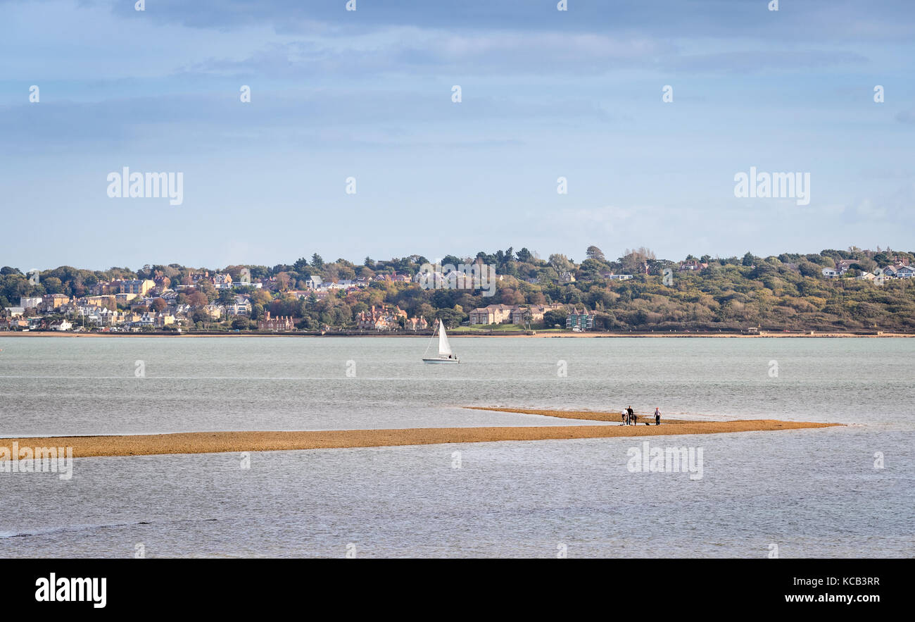visitors to Lepe Beach near Southampton walk out on a sand bank at low tide in The Solent looking out to the Isle of Wight in the distance Stock Photo