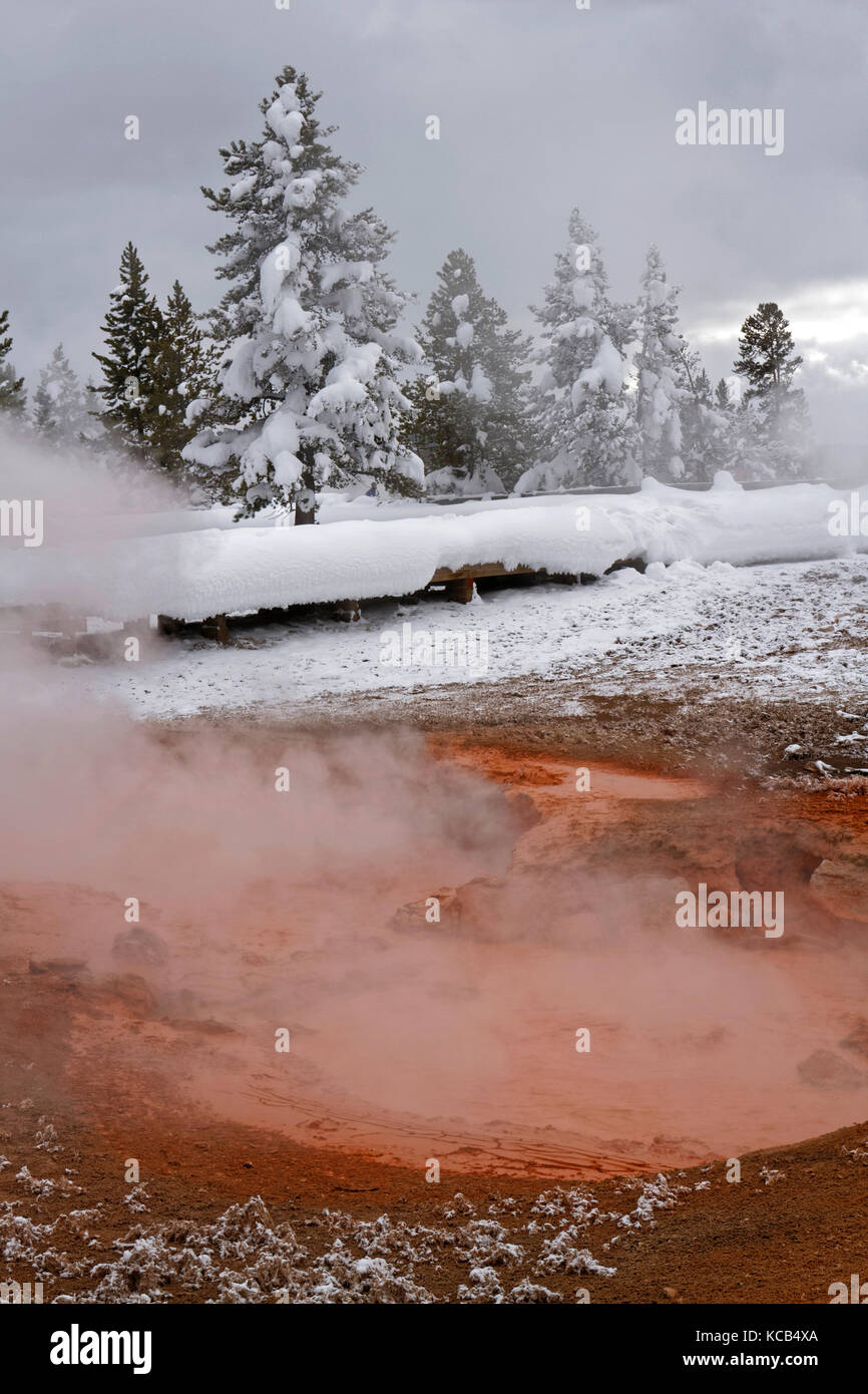 Hot springs in Fountain Paint Pot, Yellowstone National Park Stock